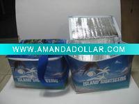 outdoor cooler bag