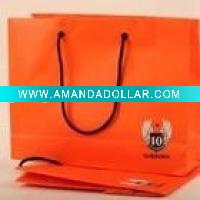 Shopping Paper bag