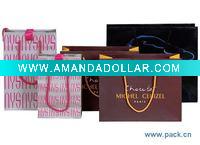 2010paper gift bag