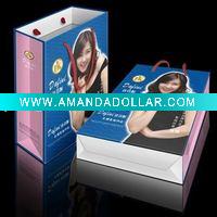 Paper Packing bag