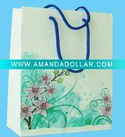 Wholesale Stylish Shopping Paper Bag