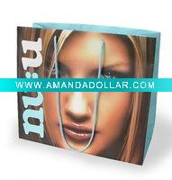 fashion paper bag