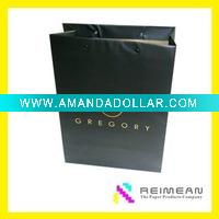 2011 new customized carrier Bag