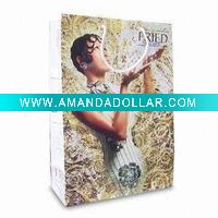 2011 New style paper bag
