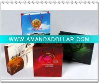 Paper Shopping Promotional Bag