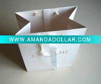 fashion paper bag
