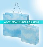 Foldable Paper Shopping Bag