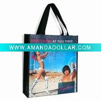 pp non woven shopping Bag