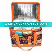 Wholesale Eye-catching Cooler/Ice Bag