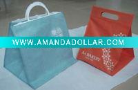 Beautiful cooler bag