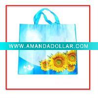 Wholesale popular promotional pp nonwoven bag