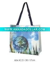 Wholesale Non woven shopping bag(FE01021)