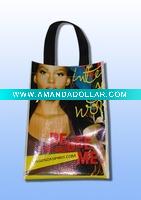 PP Woven Shopping Bag
