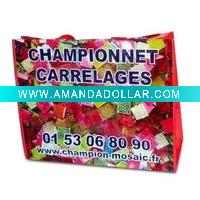 pp non woven shopping bag