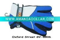 Motorcycle gloves