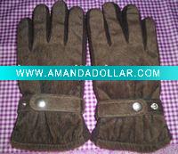 lady's winter glove