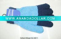 2011 glove