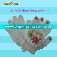 Wholesale 2010 lastest fashional knitted glove