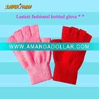 Wholesale 2010 lastest fashional knitted glove