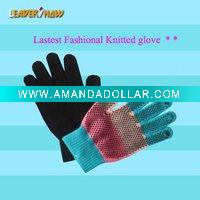 Wholesale 2010 lastest fashional knitted glove