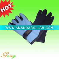 Wholesale 2011 New arrival Women polar fleece Gloves