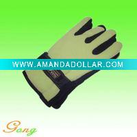 2011 New arrival Women polar fleece Gloves