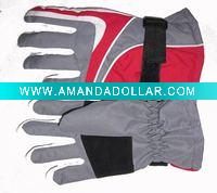 Wholesale paypal brand ski glove2011