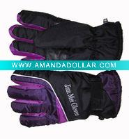 2011 new glove/ skiglove factory