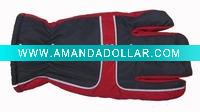 Wholesale 2011 The best sellers ski gloves
