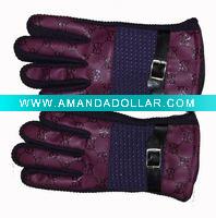 2011 lady's Ski gloves