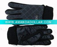 Man's ski gloves