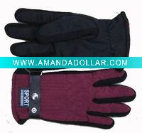 Wholesale Women's ski gloves with new design
