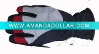 Wholesale The 2011 new waterproof ski gloves