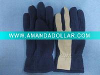 Fashion winter Polar fleece gloves with embroidery