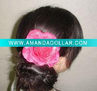 Hot pink Rose flower