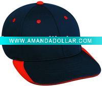 baseball cap ane hat
