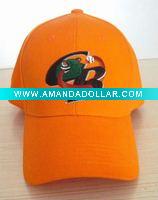 baseball cap ane hat