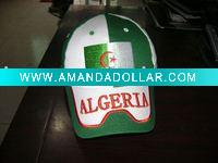 baseball cap ane hat