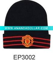 Wholesale 2010 fashion knit winter hat