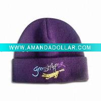 beanie hat