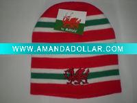 embroidered knitted headwear