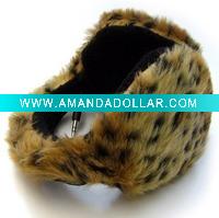 ear shield