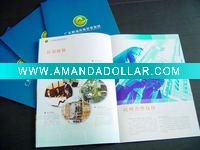 Wholesale art work company brochure