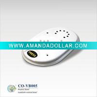 voice recorder