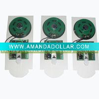 Wholesale sound module