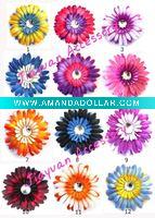 Gerbera daisy flower JYF00180