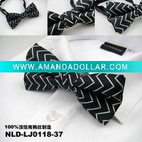 Fashion Men's Polyester Bow Tie