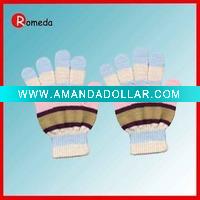 Wholesale 2010 the newest fashion winter gloves