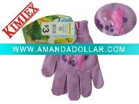 Fashional Winter Glove