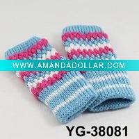 Wholesale Winter glove (YG-38081)